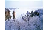 春節(jié)旅游：張家界、袁家界、天子山、寶峰湖/黃龍洞度假二晚三日游